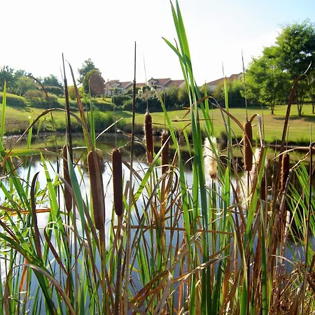 Holiday home Disabled-accessible With Heated Pool, Cleaning Included *